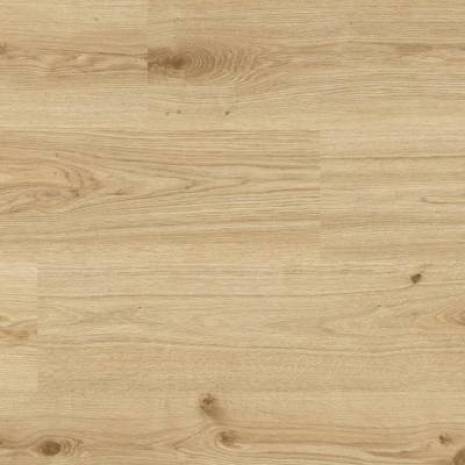 Panele winylowe ze zintegrowanym podkładem SPC Primary Oak Light Brown 260030005 Klasa 33 5 mm