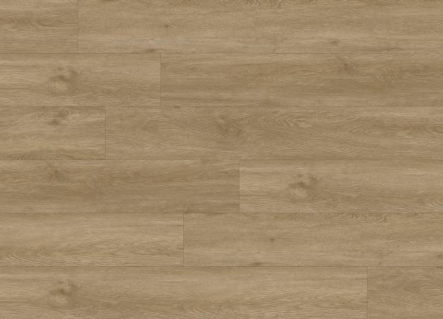 DELHI NATURAL OAK 256062342