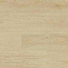 Panele winylowe SPC Tribe Oak Light Natur 260032007 Klasa 31 5 mm PANELE - Wrocław