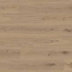 Panele winylowe ze zintegrowanym podkładem SPC Delicate Oak Natural 280007014 Klasa 33 5.5 mm PANELE - Wrocław